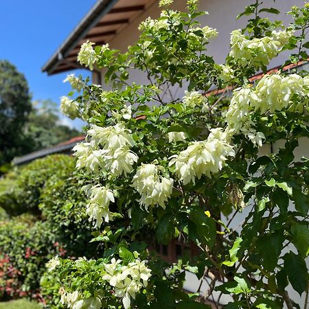 Villa Garden Haven Hikkaduwa Esterno foto